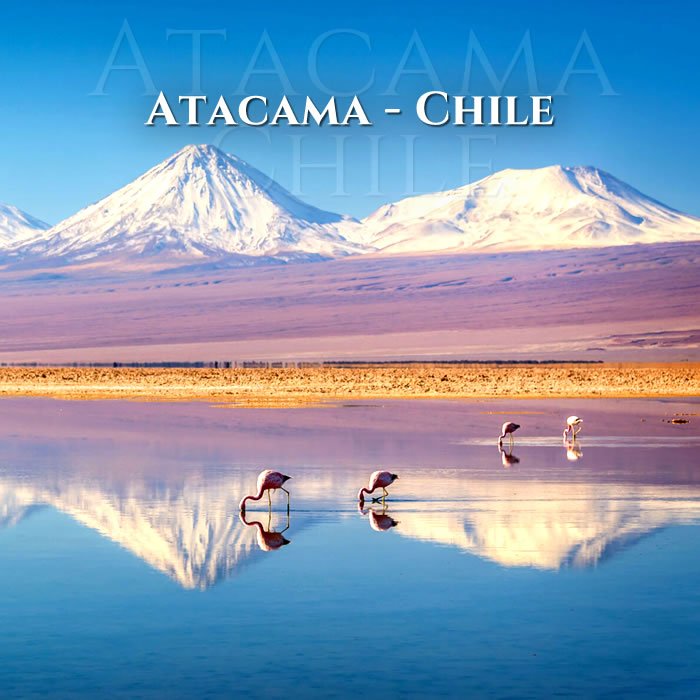 Atacama - Chile - Breda Di Piave